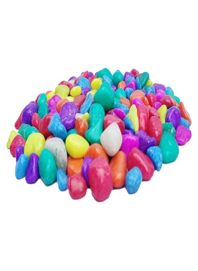 Afast Multicolor Pabbles/Stone for Garden, Plants, Aquarium & Home Decor, Marvels, Decoration, Fish Aquarium, Vase Filler, 0.5 KG -AAAAC1 - Image 1